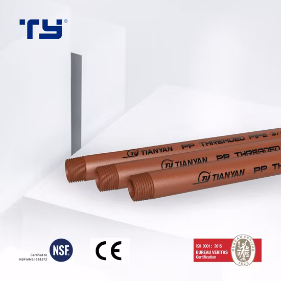 PVC CPVC PPR プラスチック継手おねじ継手ねじ付きパイプ (BS)