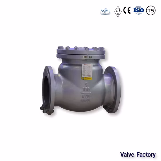 Marine JIS F 7351 Bronze 5K 65 Screw-Down Check Globe Valve